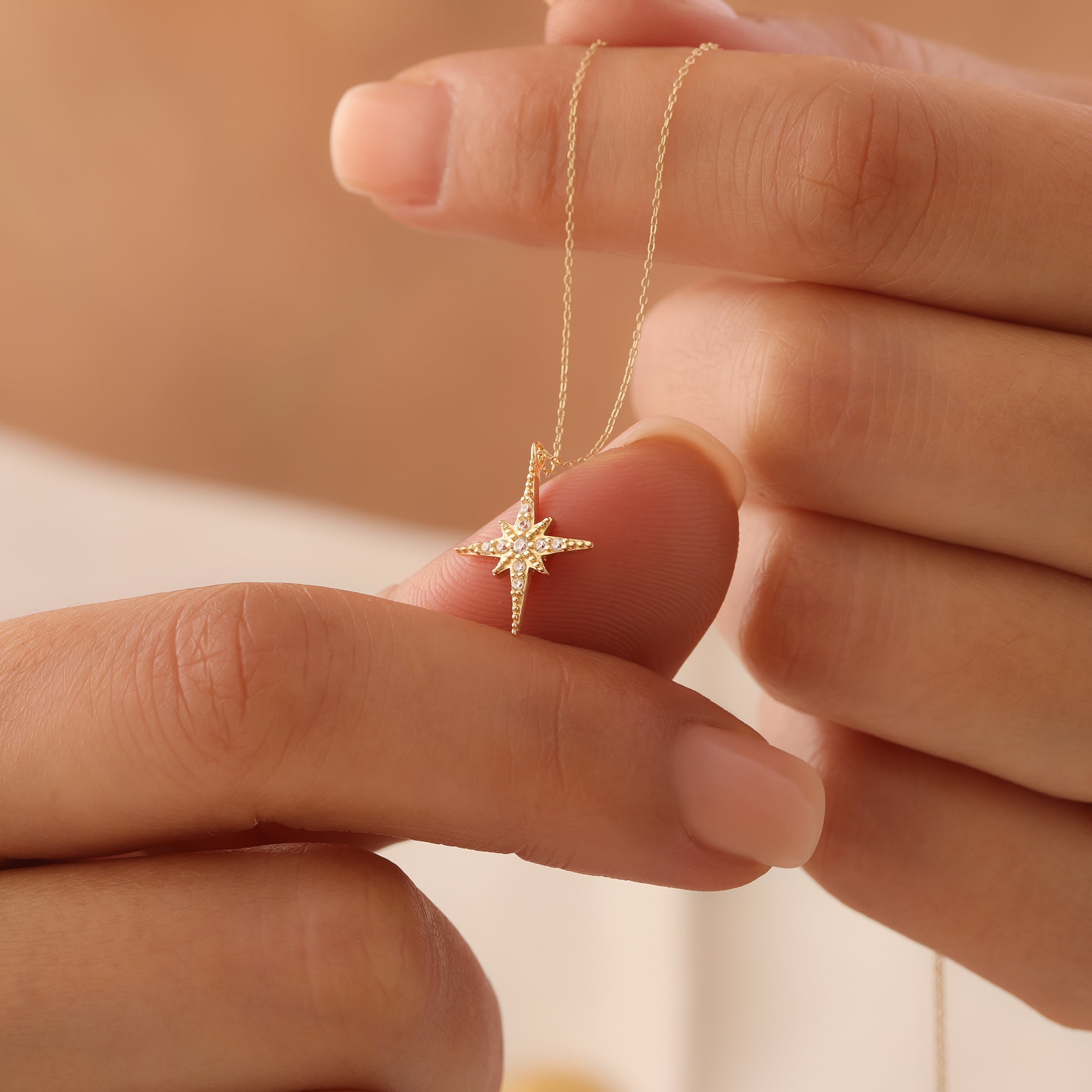 POLARSTERN MIT ZIRKONSTEIN HALSKETTE | 14K GOLD