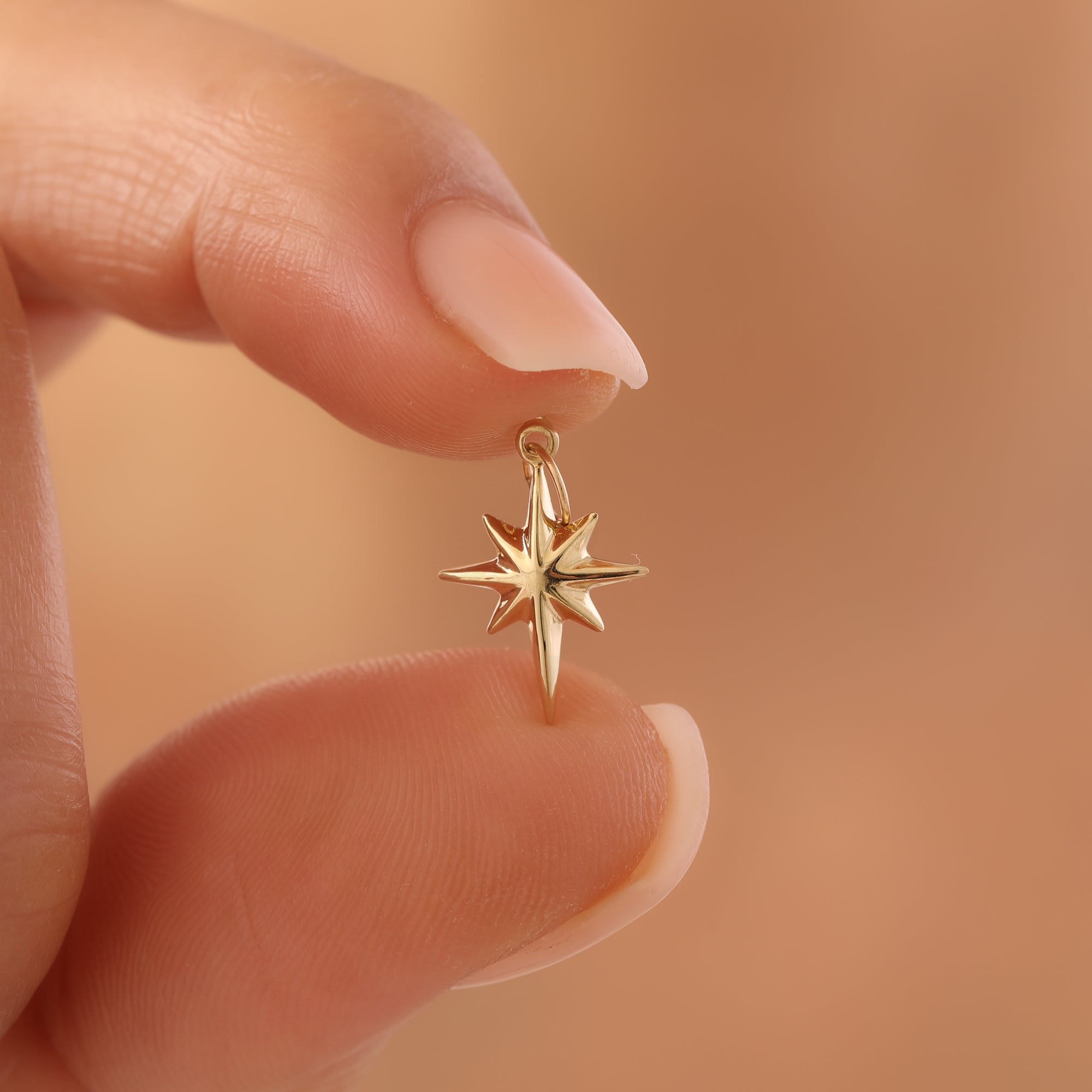 MINIMAL ORIENTIERENDER POLARSTERN ANHÄNGER | 14K GOLD