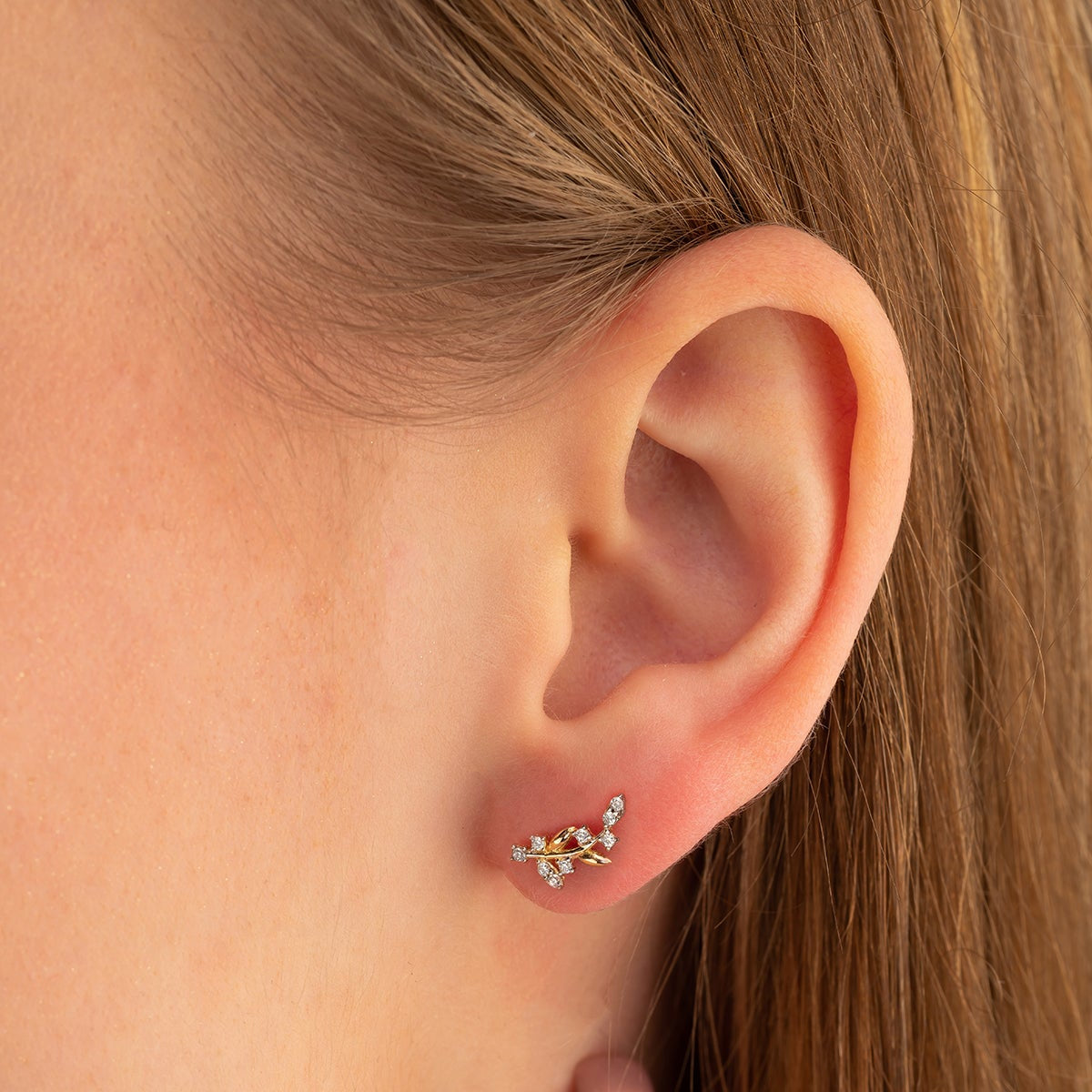 WEIZEN-MODELL OHRRINGE | 14K GOLD